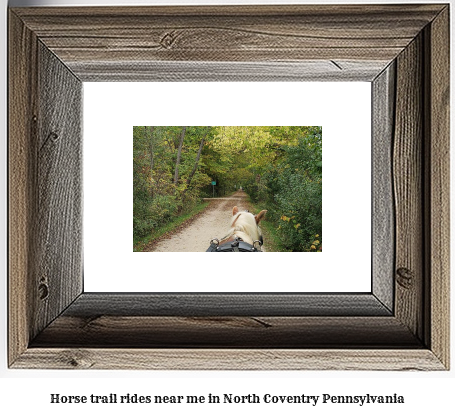 horse trail rides near me in North Coventry, Pennsylvania